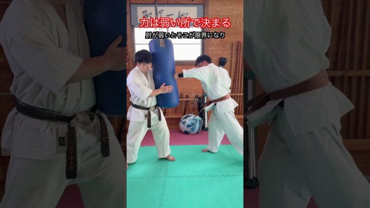 【武道・武術】力は弱い部位で決まってしまう！！　#aikido ＃karate #martial #武道 ＃#空手＃合気道＃筋トレ#selfdefens