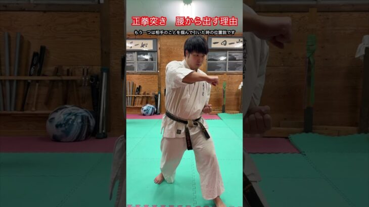 【武道・武術】空手や合気道など武道で突きを腰から出す理由とは　解説！！　#aikido ＃karate #martial #武道 ＃#空手＃合気道＃筋トレ#selfdefens