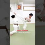 フェイント + 後ろ回し蹴り #大谷道場 #空手 #fullcontactkarate #kyokushin #karate #kumite #martialarts #shorts