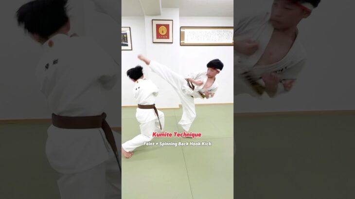 フェイント + 後ろ回し蹴り #大谷道場 #空手 #fullcontactkarate #kyokushin #karate #kumite #martialarts #shorts