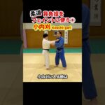 【背負投をフェイントに使う①】小内刈で投げる！　#柔道 #judo #投技 #立技 #フェイント #背負投 #小内刈 #shorts