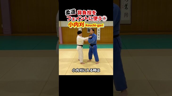 【背負投をフェイントに使う①】小内刈で投げる！　#柔道 #judo #投技 #立技 #フェイント #背負投 #小内刈 #shorts