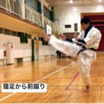 琉球空手道猫足前蹴り #karate #琉球古武術 #琉球古武道 #琉球空手 #martialarts #沖縄古武道 #沖縄空手 #猫足立ち #前蹴り