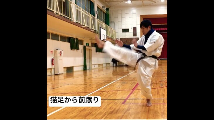 琉球空手道猫足前蹴り #karate #琉球古武術 #琉球古武道 #琉球空手 #martialarts #沖縄古武道 #沖縄空手 #猫足立ち #前蹴り