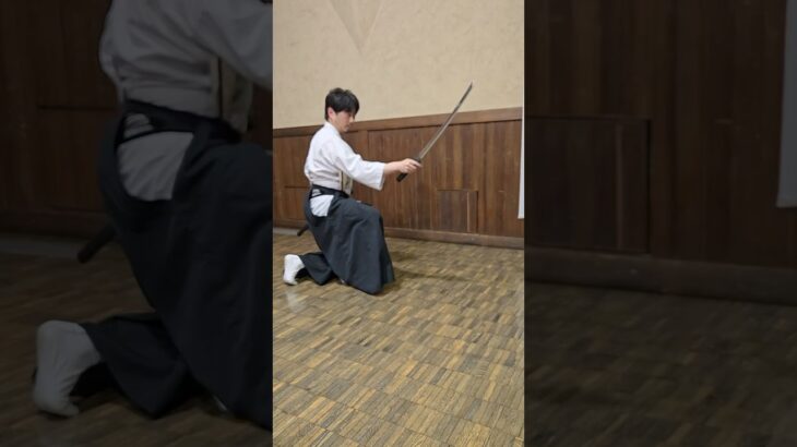 突き　#古武術 #karate #古武道 #martialarts