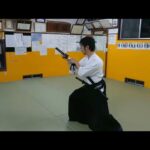 天元貫　動 2 #martialarts #古武術 #古武道