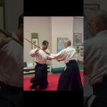 Michelangelo Oscari ・Jo dori demo #aikido  #martialarts #alljapanaikido #合気道 #budo #武道　#杖