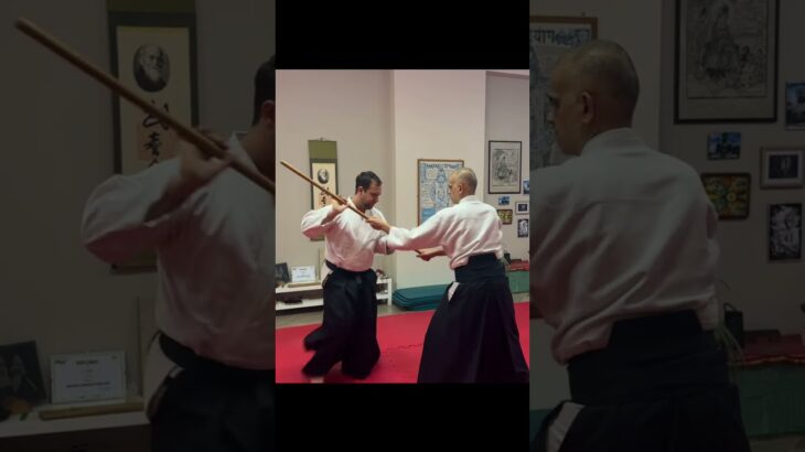 Michelangelo Oscari ・Jo dori demo #aikido  #martialarts #alljapanaikido #合気道 #budo #武道　#杖