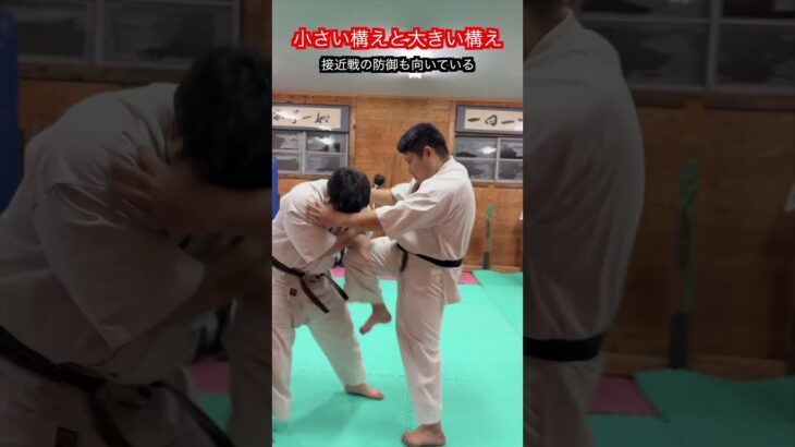 【武道・武術】小さい構えと大きい構え　それぞれの利点　解説！！　#aikido ＃karate #martial #武道 ＃#空手＃合気道＃筋トレ#selfdefens