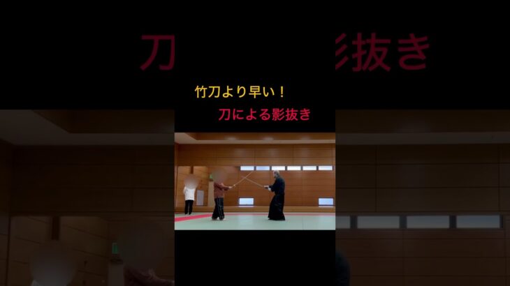 竹刀より早い！刀による影抜き。詳しくは名古屋古武術研究会へ(https://kobujutu.fc2.net) #shorts