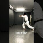 琉球空手道逆突き #karate #沖縄空手 #琉球古武術 #琉球古武道 #琉球空手 #martialarts #空手 #空手道 #突き技 #karatedo