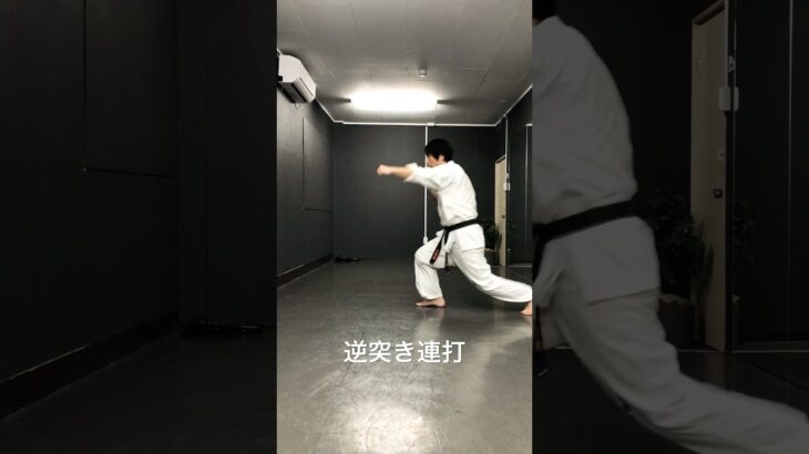 琉球空手道逆突き #karate #沖縄空手 #琉球古武術 #琉球古武道 #琉球空手 #martialarts #空手 #空手道 #突き技 #karatedo