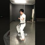 琉球空手道追い突き #karate #琉球古武術 #沖縄空手 #琉球古武道 #琉球空手 #martialarts #空手 #空手道 #karatedo