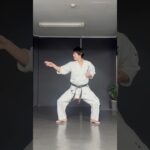 琉球空手シャドー #沖縄空手 #karate #突き技 #琉球古武術 #空手 #琉球空手 #martialarts #kata #琉球古武道 #karatedo #空手道