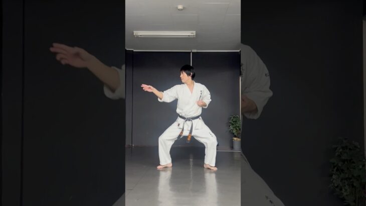 琉球空手シャドー #沖縄空手 #karate #突き技 #琉球古武術 #空手 #琉球空手 #martialarts #kata #琉球古武道 #karatedo #空手道