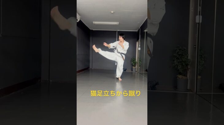 琉球空手道猫足立ち #karate #沖縄空手 #空手 #琉球空手 #琉球古武術 #martialarts #kata #琉球古武道 #空手道 #karatedo