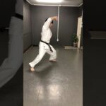 琉球空手道追い突きシャドー #karate #沖縄空手 #琉球古武術 #沖縄古武道 #琉球空手 #琉球古武道 #martialarts #kata #空手 #空手道 #karatedo