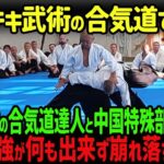 【海外の反応】「合気道？ただの遊びでしょw」日本武道を見下すイギリス特殊部隊員が合気道の達人に蹴りかかった結果…3秒後に全英が絶句