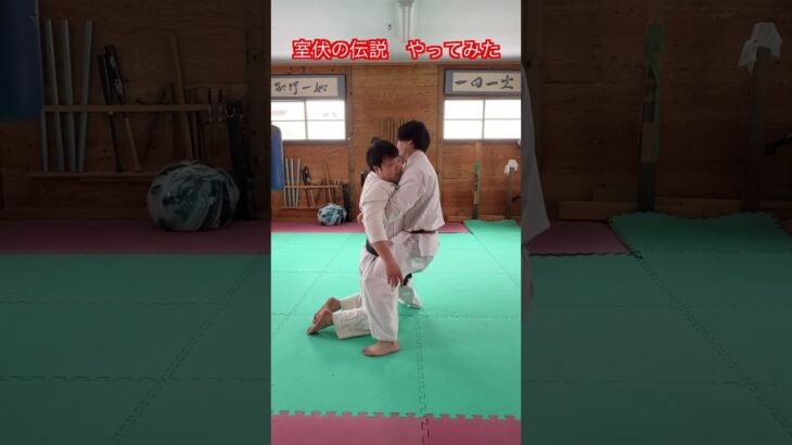 【武道・武術】室伏広治の伝説　80kgの照英を持ち上げるやつ　やってみた！！　#aikido ＃karate #martial #武道 ＃#空手＃合気道＃筋トレ#selfdefens