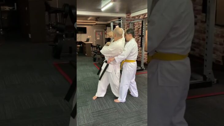 Combo № 2 – Left Cross – Back Elbow – Kimura Lock. #空手 #karate #武道 #martialarts #combatsport