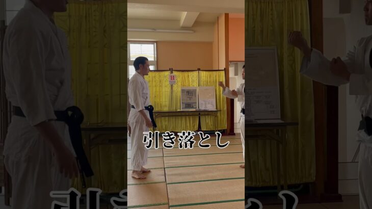 引き落とし Hikiotoshi 武芸館 副館長 比嘉清博 #martialarts #古武道 #karate #空手