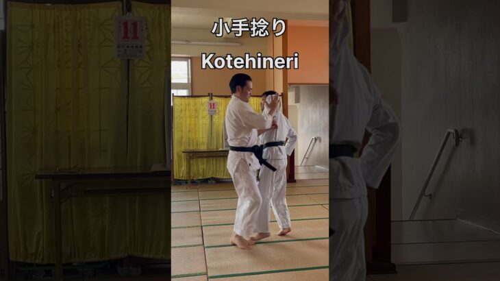 小手捻り Kotehineri 武芸館 副館長 比嘉清博。 #古武道 #martialarts #空手 #karate