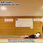 Meishinryu Aikido techniques 明真流　合気道の稽古 #aikido #合気道 #天照会 2025 0314 01