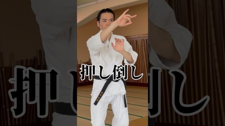 押し倒し Oshitaoshi 武芸館 副館長 比嘉清博 #martialarts #古武道 #空手 #karate