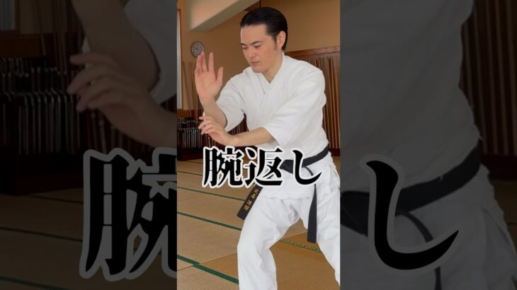 腕返し Udegaeshi 武芸館 副館長 比嘉清博。 #martialarts #古武道 #空手 #karate