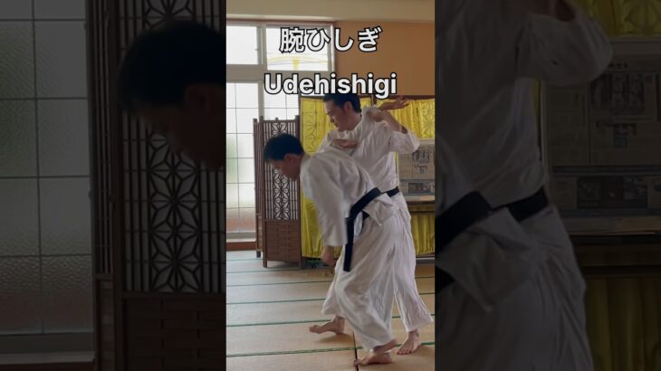 腕ひしぎ Udehishigi 武芸館 副館長 比嘉清博　#古武道 #空手 #martialarts #karate