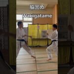 脇固め Wakigatame 武芸館 副館長 比嘉清博　#古武道 #martialarts #空手 #karate