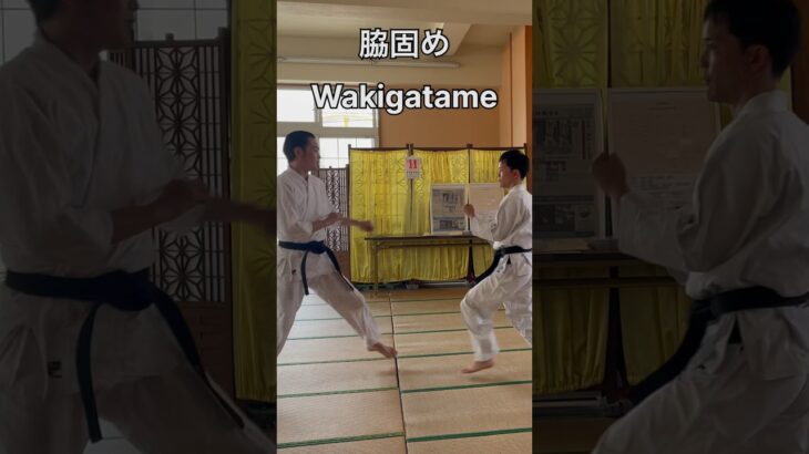 脇固め Wakigatame 武芸館 副館長 比嘉清博　#古武道 #martialarts #空手 #karate