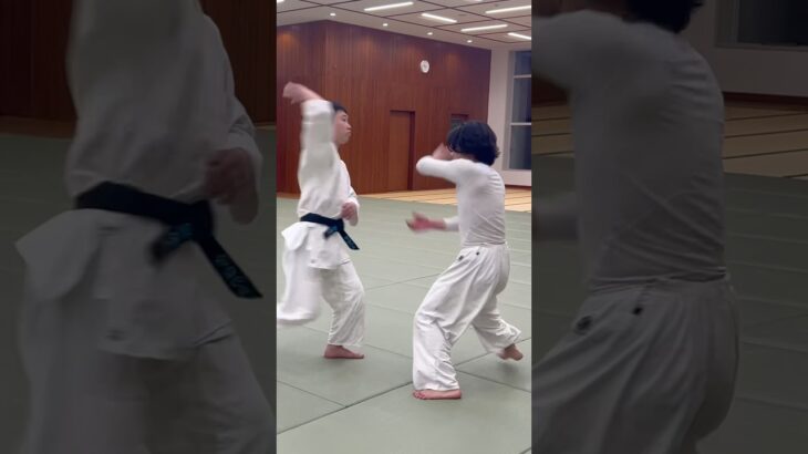 Yokomenuchi#aikido #合気道 #martialarts #karate #judo #japan #budo #武道 #kenny #selfdefense #shorts