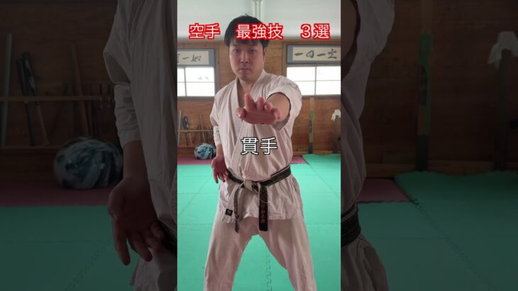 【武道・武術】空手　なんでもありの場合の最強の技　３選　解説！！　#aikido ＃karate #martial #武道 ＃#空手＃合気道＃筋トレ#selfdefens