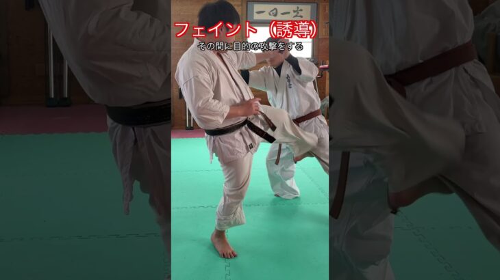 【武道・格闘技】フェイントや誘導で相手の注意を逸らす方法　４種類　解説！！　#aikido ＃karate #martial #武道 ＃#空手＃合気道＃筋トレ#selfdefens