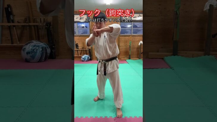 【武道・武術】ボクサーや空手家もよく使うフック　鉤突き　打ち方解説！！　#aikido ＃karate #martial #武道 ＃#空手＃合気道＃筋トレ#selfdefens