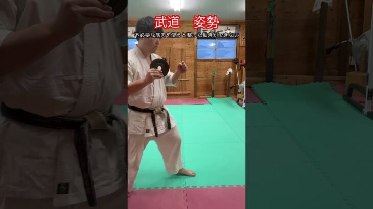 【武道・武術】一般的に正しい姿勢は武道でも正しいのか！？解説！！　#aikido ＃karate #martial #武道 ＃#空手＃合気道＃筋トレ#selfdefens