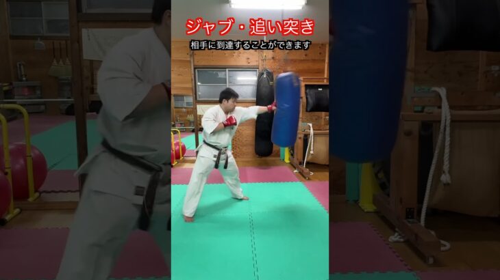 【武道・武術】これを極めれば世界を制する！？ジャブ・追い突き　解説！！　#aikido ＃karate #martial #武道 ＃#空手＃合気道＃筋トレ#selfdefens