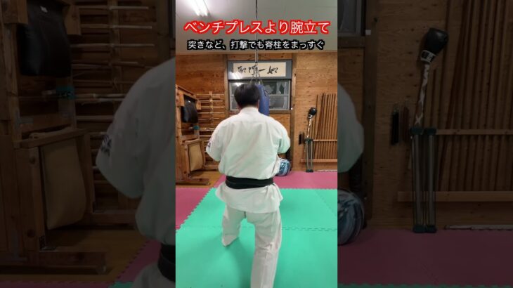 【武道・武術】ベンチプレスより腕立て伏せが良いって本当！？解説！！　#aikido ＃karate #martial #武道 ＃#空手＃合気道＃筋トレ#selfdefens