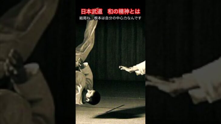 【武道・武術】日本武道は和の精神を大事にするけど和とはなんなのか！？解説！！　#aikido ＃karate #martial #武道 ＃#空手＃合気道＃筋トレ#selfdefens