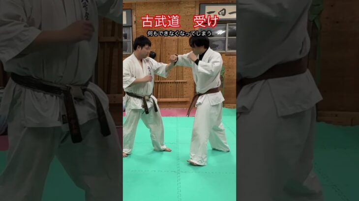 【武道・武術】最も合理的な古武道の受け方　解説！！　#aikido ＃karate #martial #武道 ＃#空手＃合気道＃筋トレ#selfdefens