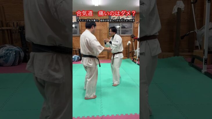 【武道・武術】合気道の技は痛いとダメって言うけど　どういうことなのか！？解説！！　#aikido ＃karate #martial #武道 ＃#空手＃合気道＃筋トレ#selfdefens