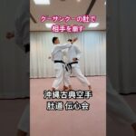 手裏剣で空手の稽古をします！#手裏剣 #古武術 #martialarts