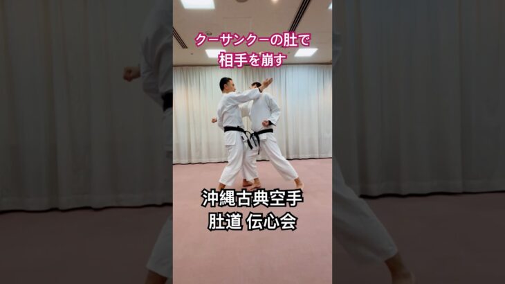 手裏剣で空手の稽古をします！#手裏剣 #古武術 #martialarts