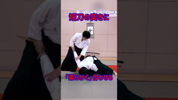 【武器対応】柔らかく合わせる古武術の訓練法　#martialarts #大東流合気柔術 #扶桑会 #合気道 #護身術 #aikido #daitoryu #karate  #空手